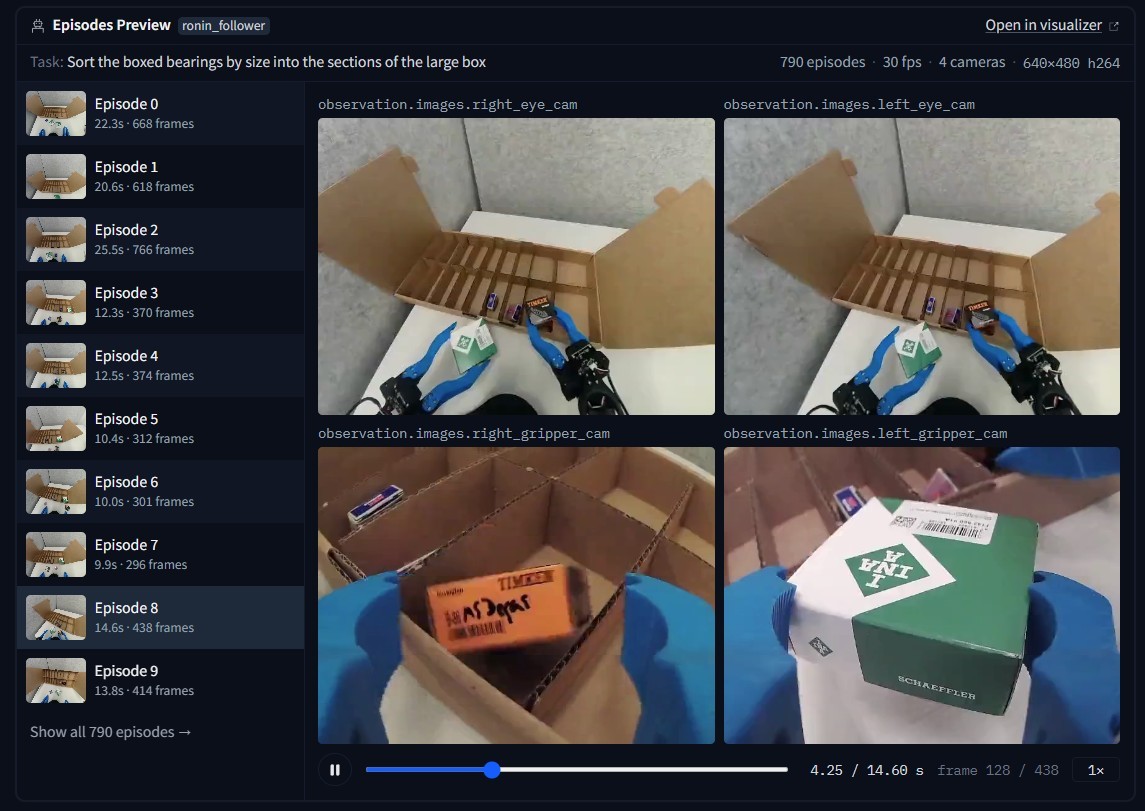 Dataset viewer with four synchronized camera views