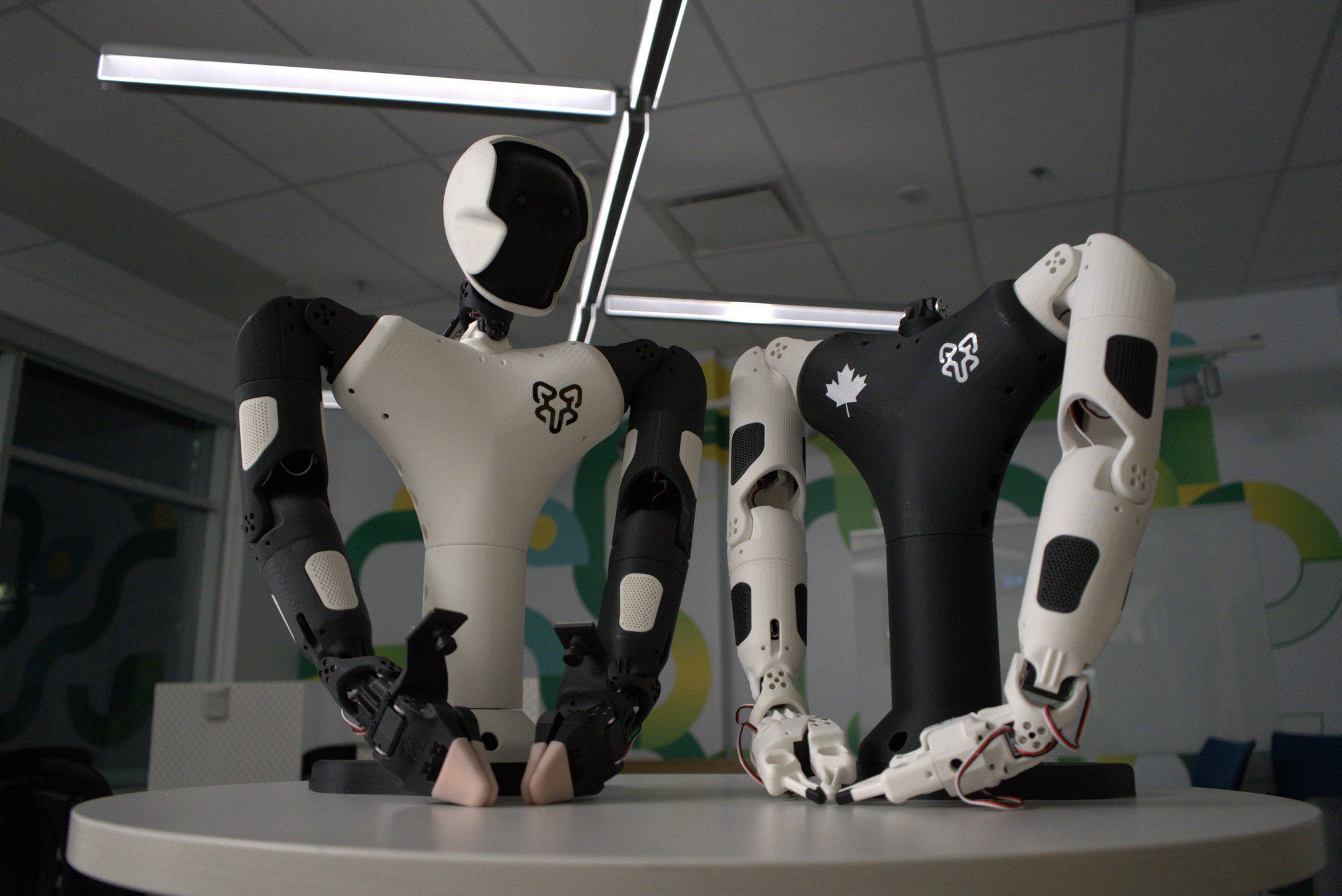 Polymorph Ronin humanoid robot alpha bundle